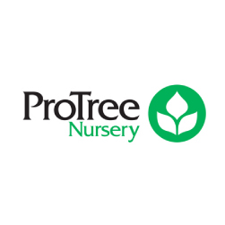 Pro Tree Nursery